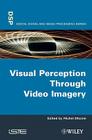 Visual Perception Through Video Imagery (Digital Signal Processing) By Michel Dhome (Editor) Cover Image