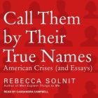 Call Them by Their True Names Lib/E: American Crises (and Essays) By Rebecca Solnit, Cassandra Campbell (Read by) Cover Image