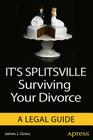 It's Splitsville: Surviving Your Divorce By James J. Gross Cover Image