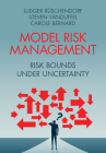 Model Risk Management: Risk Bounds Under Uncertainty Cover Image