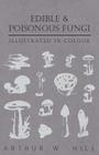 Edible and Poisonous Fungi - Illustrated in Colour By Arthur W. Hill Cover Image