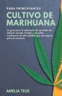 Cultivo de Marihuana para Principiantes - La guía para el cultivador de cannabis de interior novato. Cuidar y cosechar marihuana de alta calidad que s By Amelia Teije Cover Image
