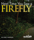 Next Time You See a Firefly By Emily Morgan Cover Image