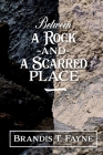 Between A Rock And A Scarred Place By Tamika L. Sims (Editor), Brandis Trinette Fayne Cover Image