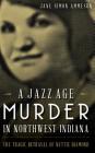 A Jazz Age Murder in Northwest Indiana: The Tragic Betrayal of Nettie Diamond By Jane Simon Ammeson Cover Image