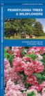 Pennsylvania Trees & Wildflowers: A Folding Pocket Guide to Familiar Plants Cover Image