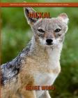 Jackal: Beautiful Pictures & Interesting Facts Children Book about Jackal By Renee Wood Cover Image