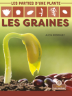 Les Graines By Alicia Rodriguez, Annie Evearts (Translator) Cover Image