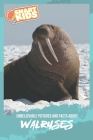 Unbelievable Pictures and Facts About Walruses By Olivia Greenwood Cover Image