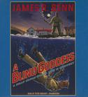 A Blind Goddess: A Billy Boyle World War II Mystery (Billy Boyle World War II Mysteries #8) By James R. Benn, Peter Berkrot (Read by) Cover Image