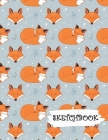 Sketchbook: Blue Sleeping Fox Fun Framed Drawing Paper Notebook By Sparks Sketches Cover Image