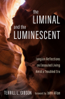 The Liminal and The Luminescent Cover Image
