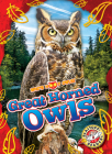 Great Horned Owls By Rachael Barnes Cover Image