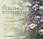 Secrets of Wildflowers: A Delightful Feast of Little-Known Facts, Folklore, and History By Jack Sanders Cover Image