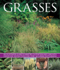 Grasses By Jo Chatterton Cover Image