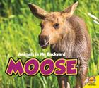 Moose (Animals in My Backyard) Cover Image