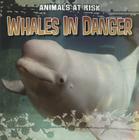 Whales in Danger (Animals at Risk) Cover Image