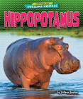 Hippopotamus By Colleen Sexton Cover Image