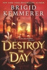 Destroy the Day (Defy the Night) By Brigid Kemmerer Cover Image