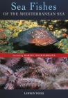 Sea Fishes Of The Mediterranean Including Marine Invertebrates Cover Image