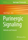 Purinergic Signaling: Methods and Protocols (Methods in Molecular Biology #2041) By Pablo Pelegrín (Editor) Cover Image