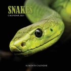 Snake Calendar 2021: 16 Month Calendar By Golden Print Cover Image