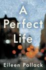 A Perfect Life: A Novel By Eileen Pollack Cover Image