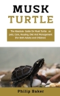 Musk Turtle: The absolute guide on musk turtle pets, care, housing, diet and management (for both adults and children) Cover Image