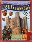 The Amazing History of Castles & Knights: Enter a World of Romance and Adventure, with Over 350 Exciting Pictures By Barbara Taylor, William Klemperer (Consultant) Cover Image