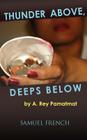 Thunder Above, Deeps Below Cover Image
