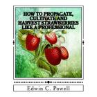 How to Propagate, Cultivate and Harvest Strawberries Like a Professional: Expert Tips on All Aspects of Growing Strawberries Cover Image