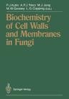 Biochemistry of Cell Walls and Membranes in Fungi Cover Image