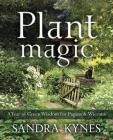 Plant Magic: A Year of Green Wisdom for Pagans & Wiccans By Sandra Kynes Cover Image