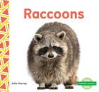 Raccoons (Everyday Animals) Cover Image