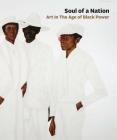 Soul of a Nation: Art in the Age of Black Power By Mark Godfrey (Editor), Zoé Whitley (Editor), Mark Godfrey (Text by (Art/Photo Books)) Cover Image