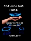 Natural Gas Price: Rise in the Price of Natural Gas By Adam A. Soto Cover Image
