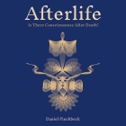 Afterlife: Is There Consciousness After Death? By Daniel Pinchbeck, Jordan Byrne (Read by) Cover Image