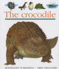 The Crocodile By Sylvaine Peyrols, Sylvaine Peyrols (Illustrator) Cover Image