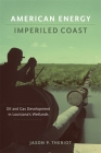 American Energy, Imperiled Coast: Oil and Gas Development in Louisiana's Wetlands (Natural World of the Gulf South #5) By Jason P. Theriot Cover Image