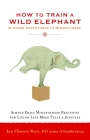 How to Train a Wild Elephant: And Other Adventures in Mindfulness By Jan Chozen Bays Cover Image