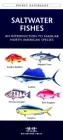Tennessee Birds: A Folding Pocket Guide to Familiar Species (Pocket Naturalist Guide) Cover Image