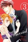 Everyone's Getting Married, Vol. 3, 3 Cover Image