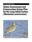 Status Assessment and Conservation Action Plan for the Long-billed Curlew (Numenius americanus) By Stephanie L. Jones, U. S. Department of Interior, Fish And Wildlife Service Cover Image