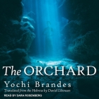 The Orchard Lib/E By Dara Rosenberg (Read by), Daniel Libenson (Contribution by), Yochi Brandes Cover Image