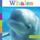 Seedlings: Whales Cover Image
