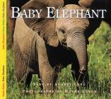 Baby Elephant (Nature Babies) Cover Image