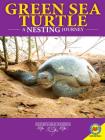 Green Sea Turtles: A Nesting Journey (Nature's Great Journeys) By Rebecca Hirsch Cover Image