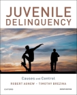 Juvenile Delinquency: Causes and Control By Robert Agnew, Timothy Brezina Cover Image