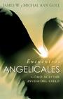 Encuentros Angelicas Cover Image