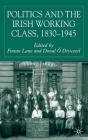 Politics and the Irish Working Class, 1830-1945 By Donal Ó. Drisceoil (Editor), F. Lane (Editor) Cover Image
